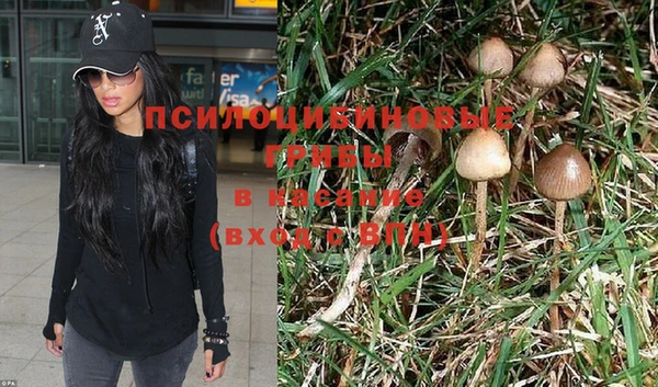 молекула духа Переславль-Залесский